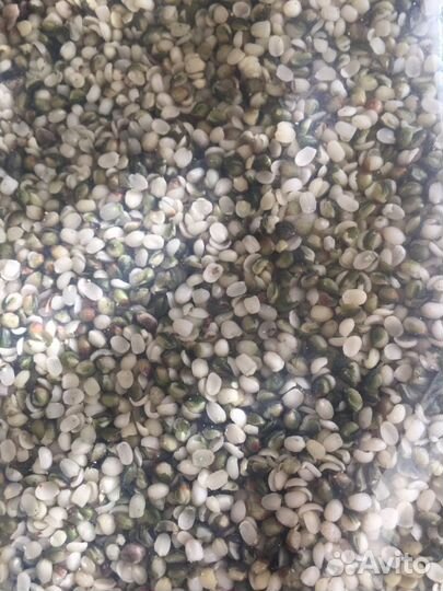 Ядра конопли (очищенные)