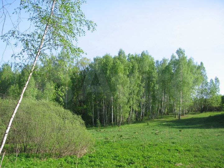 Участок 9 га (СНТ, ДНП)