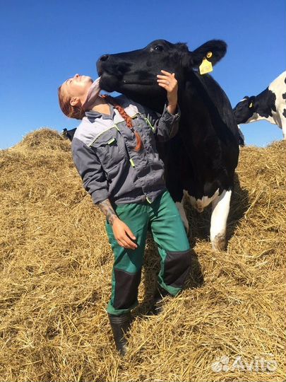 Ветеринарный врач. Специалист по воспроизводству