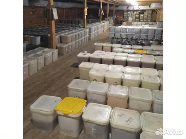 Донниковый мед 30 кг