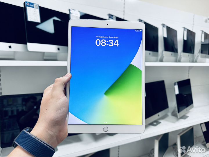 iPad Air 3 256 gb Wi-Fi +Cellular Silver (1403)