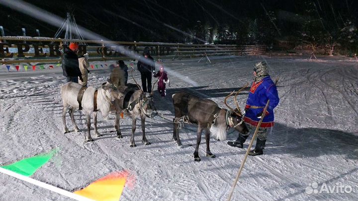Трансфер,заказ микроавтобуса