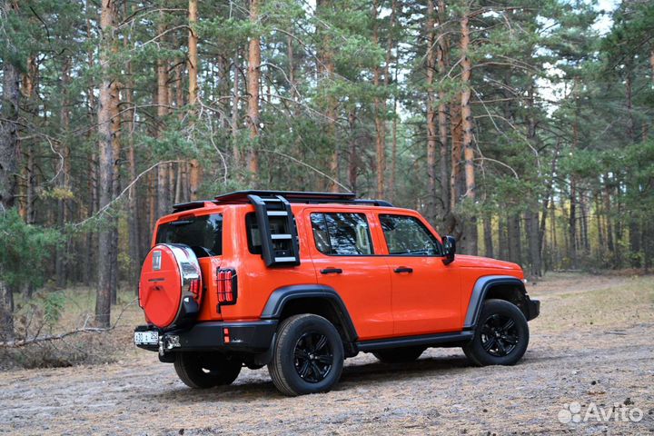 Лестница багажник на Tank300