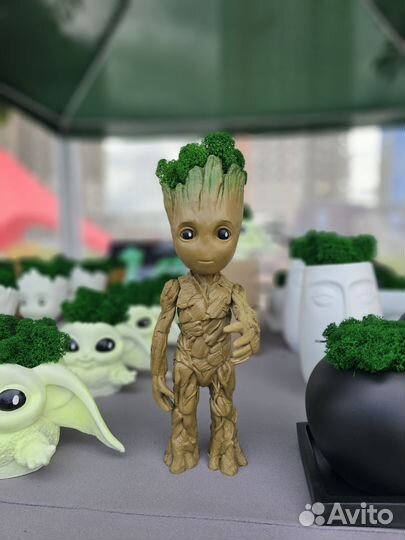 Фугрка Грут со мхом