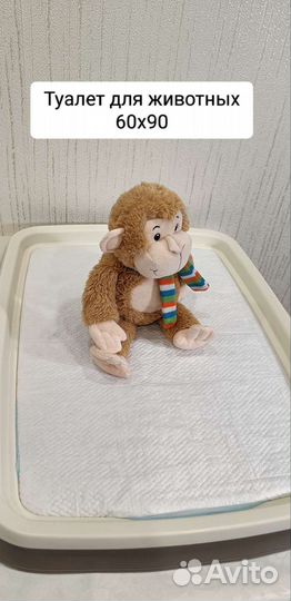 Лоток туалет для собак