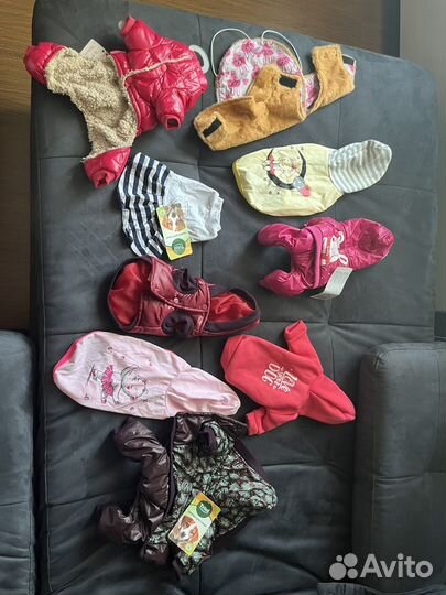 Одежда для собак мелких пород