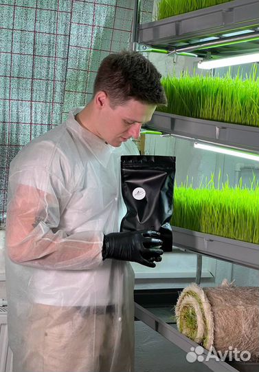 Витграсс Калининград