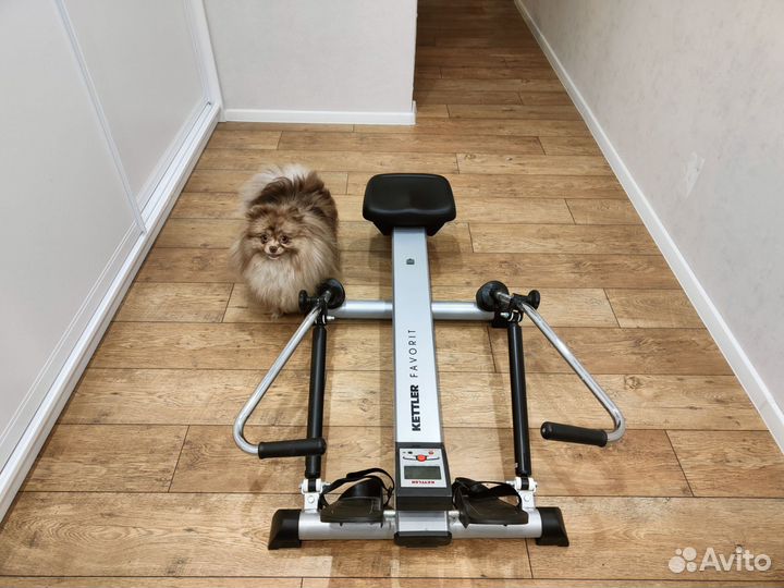 Гребной тренажер Kettler Favorit