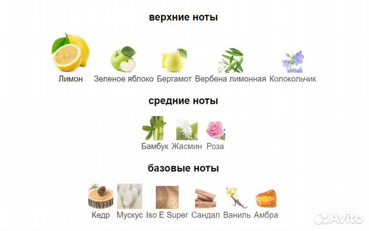 Dolce&Gabbana Light Blue Italian Zest