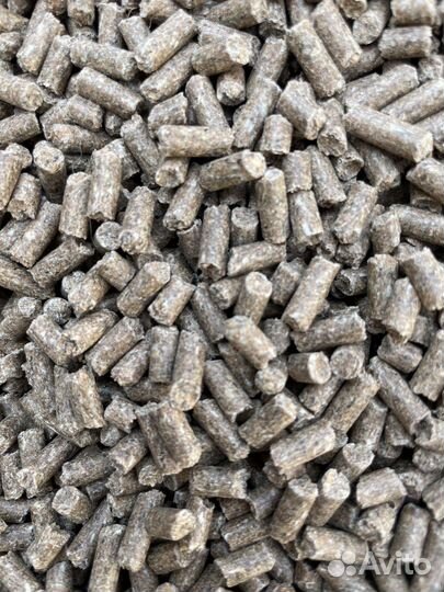 Корм для Карпа