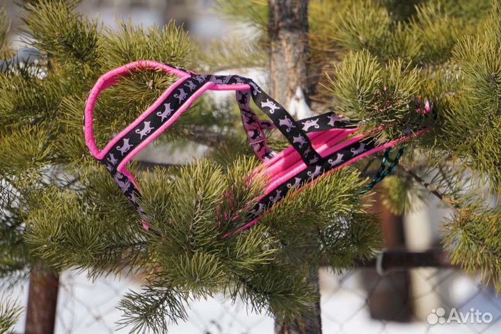 Шлейка ездовая