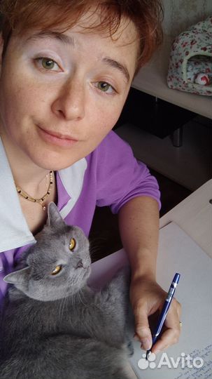 Передержка домашних животных