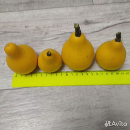 Семена тыквы маленькой декоративной