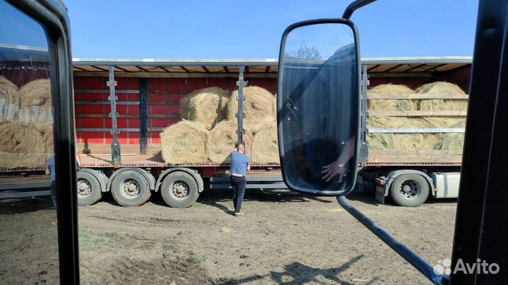 Сено в рулонах от 40 штук с доставкой