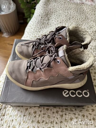 Демисезонные ботинки ecco с gore-tex 38