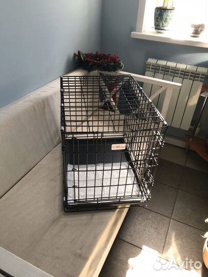 Клетка и переноски для кошек и собак аренда