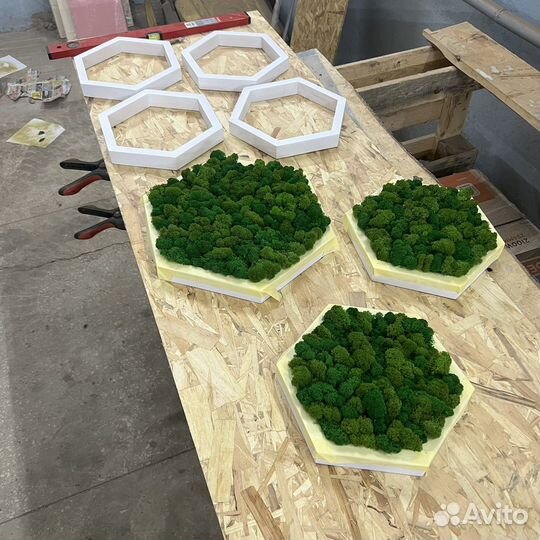 Панно из мха