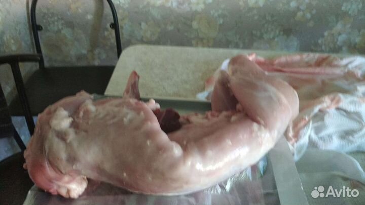 Продаю мясо домашнего кролика