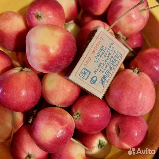 Яблоки