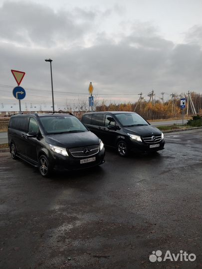 Аренда мерседес V-class 7 мест