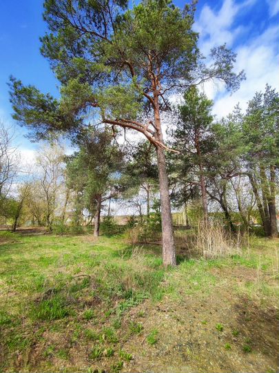 Участок 6,3 сот. (ИЖС)