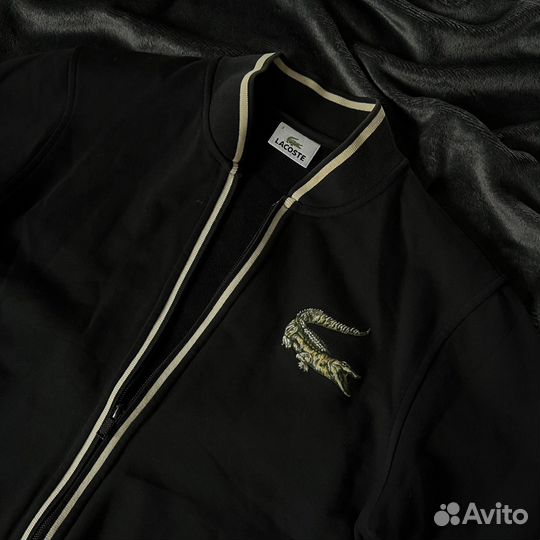 Zip Lacoste original