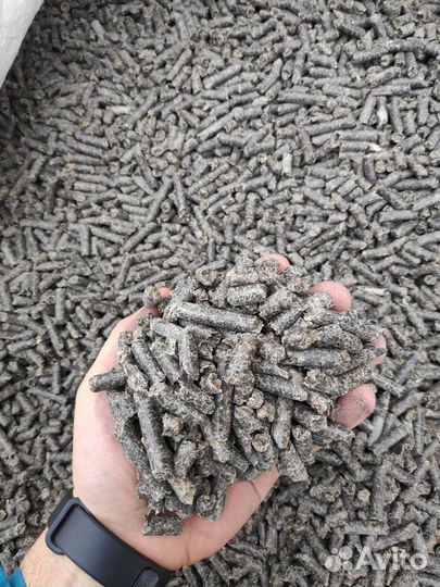 Жом свекловичный гранулированный