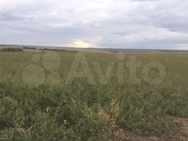 Участок 10 га (СНТ, ДНП)