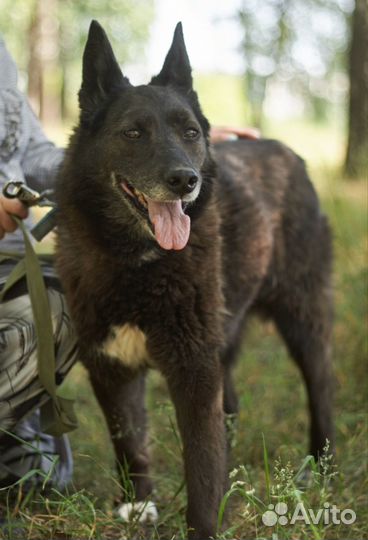 Измените судьбу Бренды