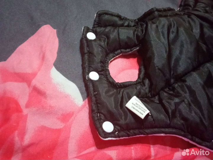 Костюм Чихуахуа/мини той терьер