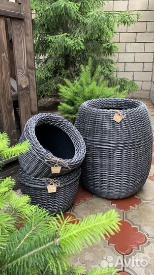 Обучаю плетению из ротанга