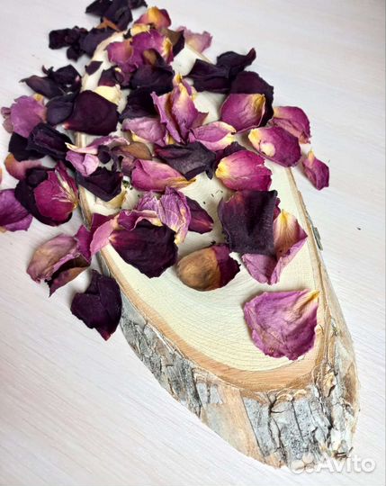 Сухоцветы для фотосессии и предметной съемки