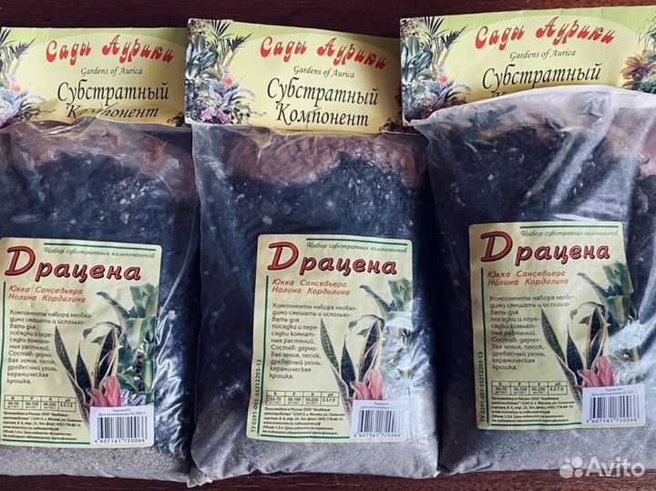 Драцена Субстратный компонент