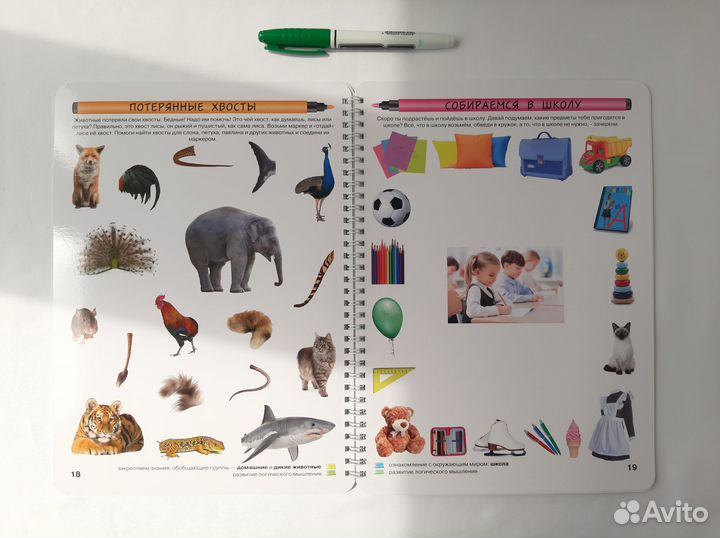 Новая -р/т №2 Логика и познание (3-4 г) Юлия Фишер