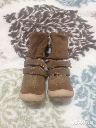 Обувь для собак