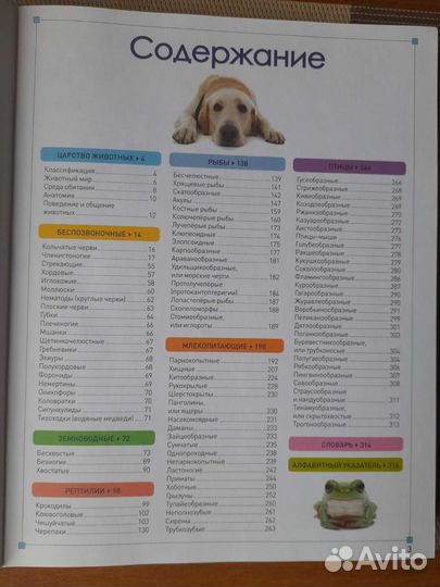 Энциклопедия животных