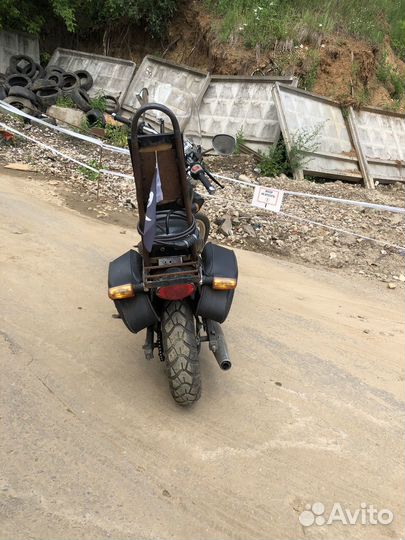 Wels Despot (Harley New )