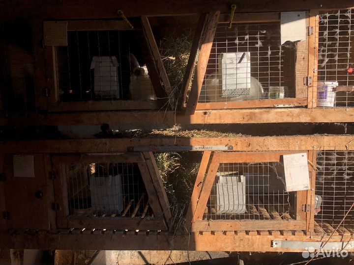 Клетка для кролика