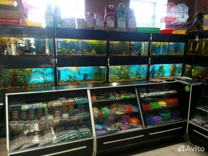 Мир аквариума