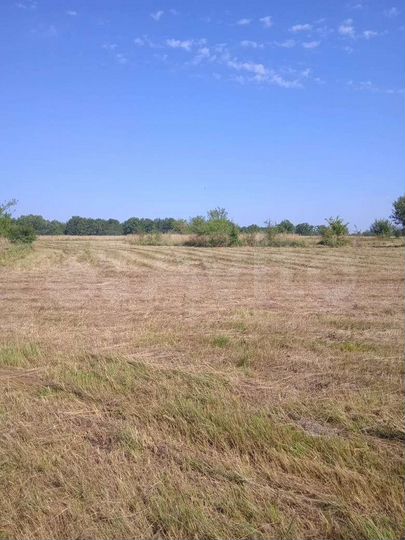 Участок 95 га (СНТ, ДНП)