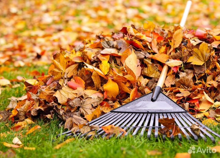 Подготовлю двор,дачный участок к зимнему сезону