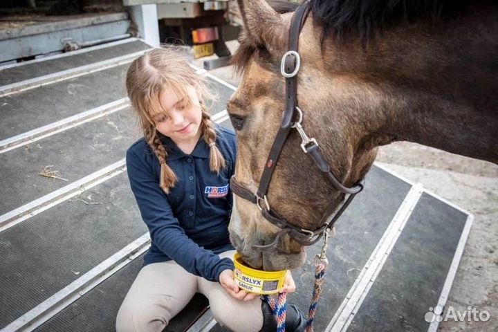 HorseLux Ликит для стрейчинга лошади