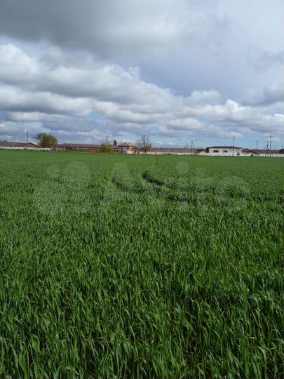 Участок 29 сот. (ИЖС)