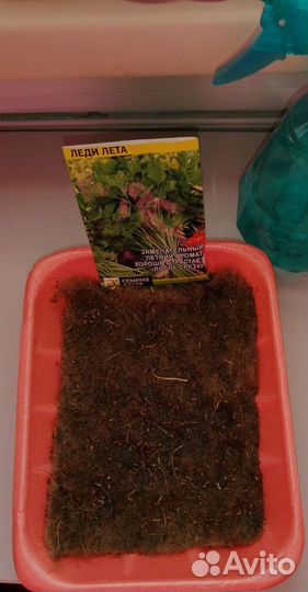 Микрозелень. Джутовые коврики