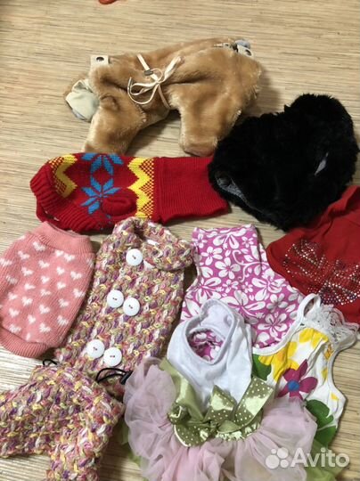 Одежда для маленьких собак