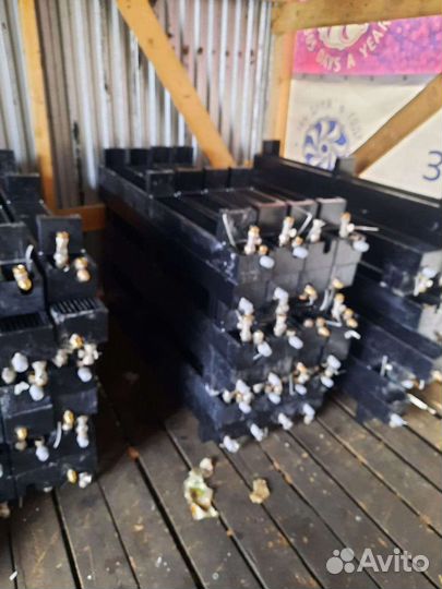 Радиатор отопления конвектор