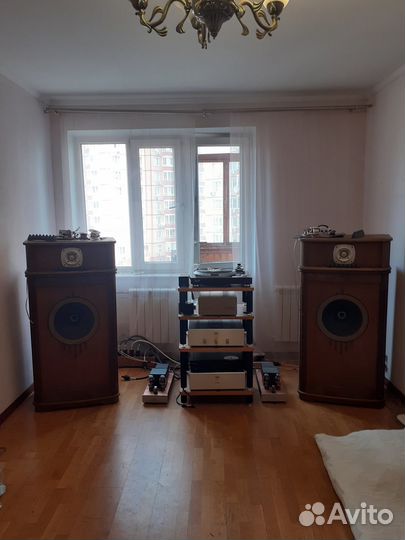 Акустика Tannoy Canterbury 15