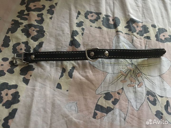 Вещички на маленькую собачку