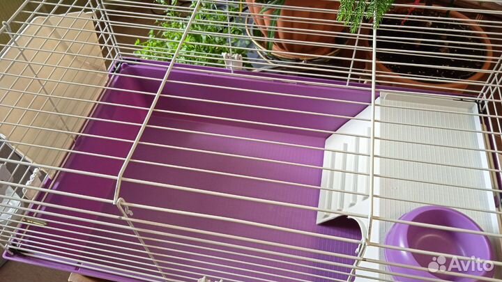 Клетка для морской свинки/грызунов + подарки