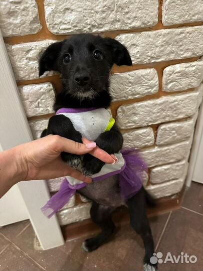 Я буду твоей принцессой